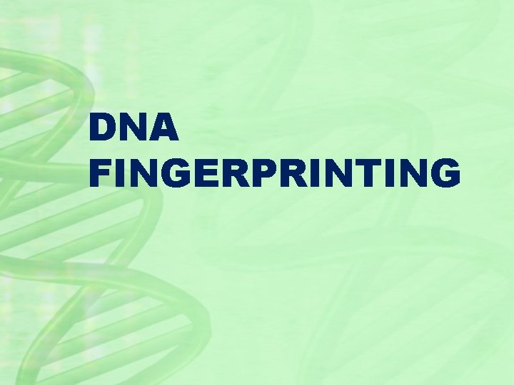 DNA FINGERPRINTING 