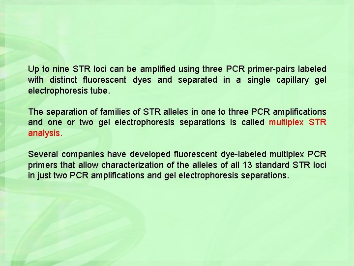 Up to nine STR loci can be amplified using three PCR primer-pairs labeled with