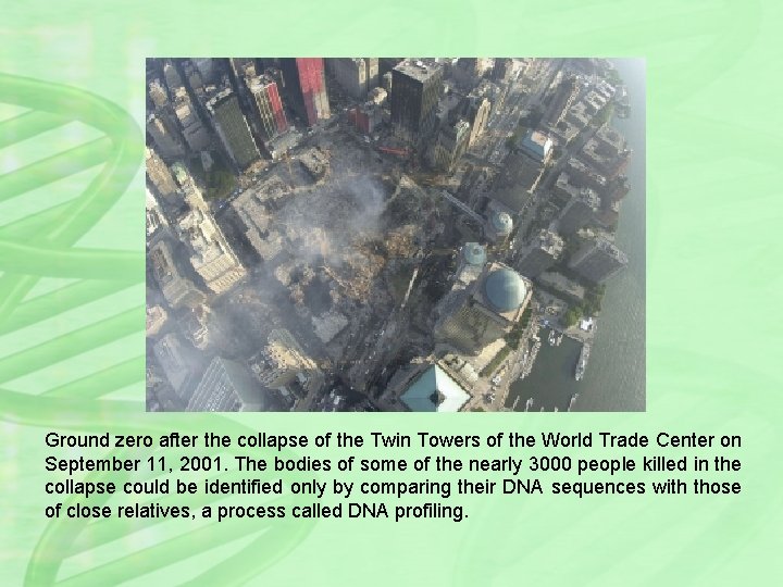 Ground zero after the collapse of the Twin Towers of the World Trade Center