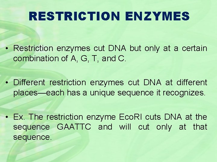 RESTRICTION ENZYMES • Restriction enzymes cut DNA but only at a certain combination of