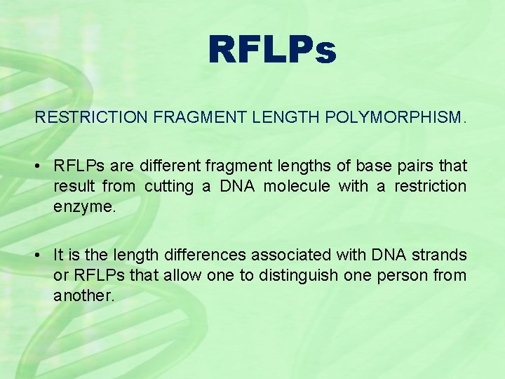 RFLPs RESTRICTION FRAGMENT LENGTH POLYMORPHISM. • RFLPs are different fragment lengths of base pairs