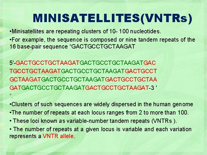 MINISATELLITES(VNTRs) • Minisatellites are repeating clusters of 10 - 100 nucleotides. • For example,
