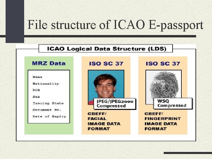 File structure of ICAO E-passport 