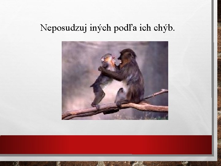 Neposudzuj iných podľa ich chýb. 