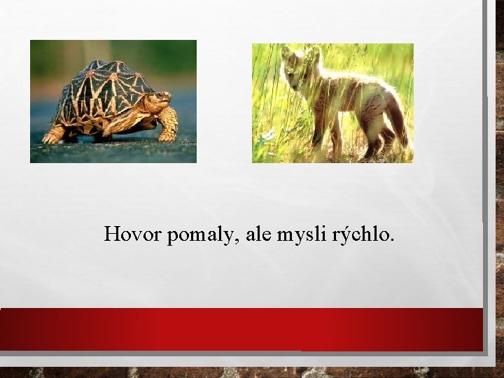 Hovor pomaly, ale mysli rýchlo. 