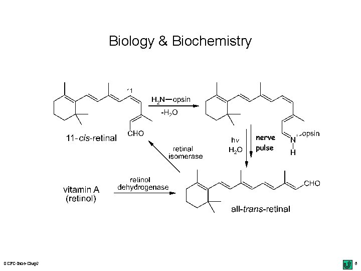 Biology & Biochemistry OCFC-Intro-Chap 2 6 