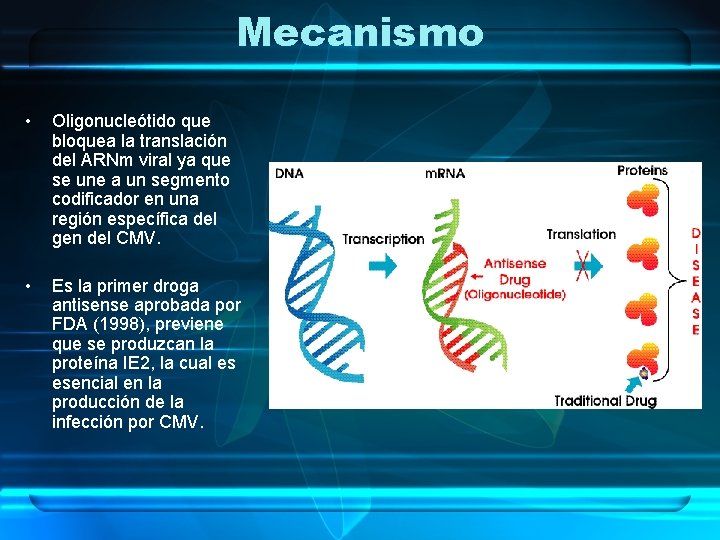 Mecanismo • Oligonucleótido que bloquea la translación del ARNm viral ya que se une