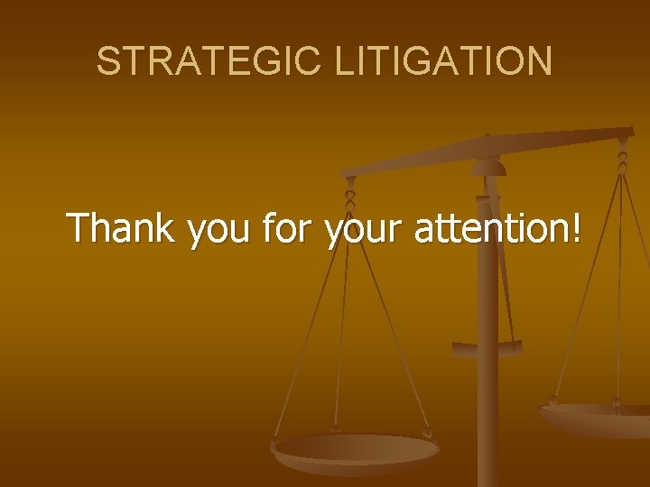 STRATEGIC LITIGATION Thank you for your attention! 