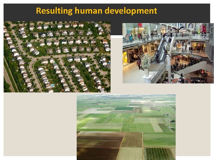 Resulting human development 