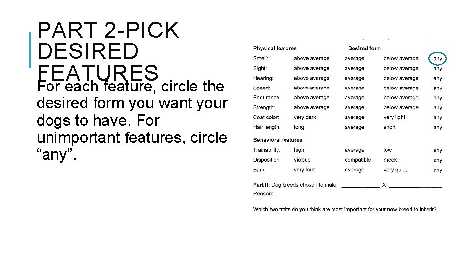 PART 2 -PICK DESIRED FEATURES For each feature, circle the desired form you want
