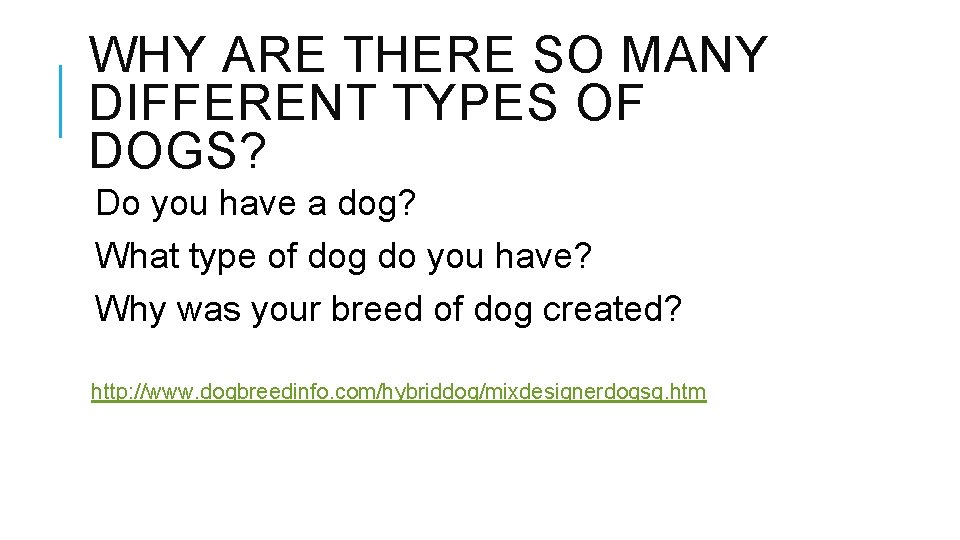 WHY ARE THERE SO MANY DIFFERENT TYPES OF DOGS? Do you have a dog?
