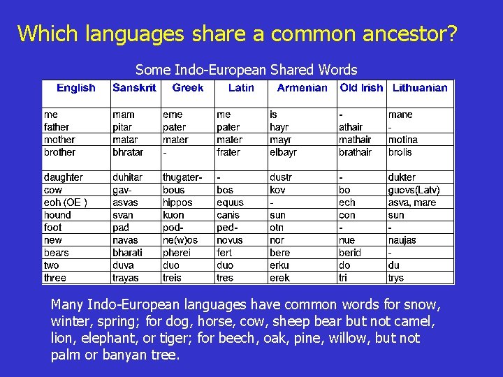 Which languages share a common ancestor? Some Indo-European Shared Words Many Indo-European languages have