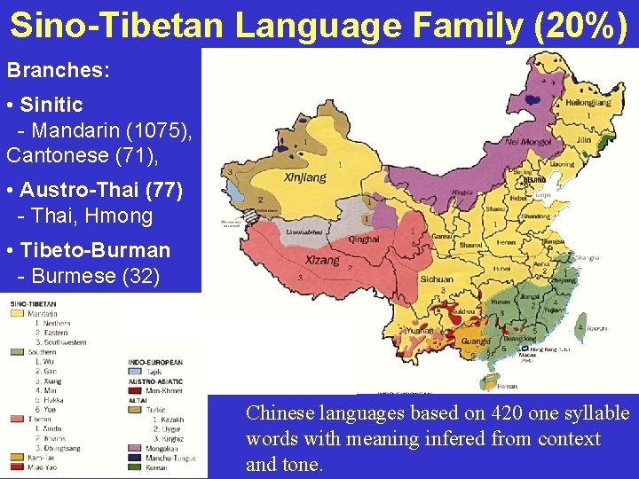 Sino-Tibetan Language Family (20%) Branches: • Sinitic - Mandarin (1075), Cantonese (71), • Austro-Thai