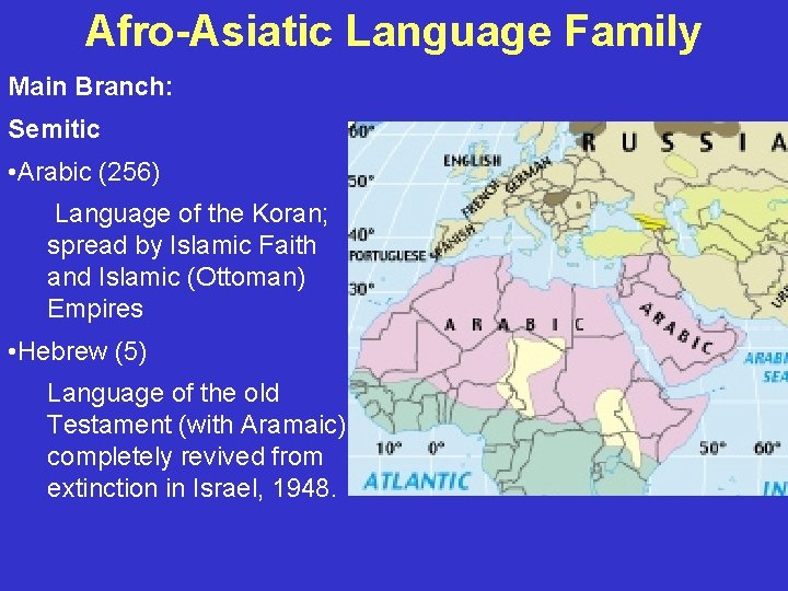 Afro-Asiatic Language Family Main Branch: Semitic • Arabic (256) Language of the Koran; spread