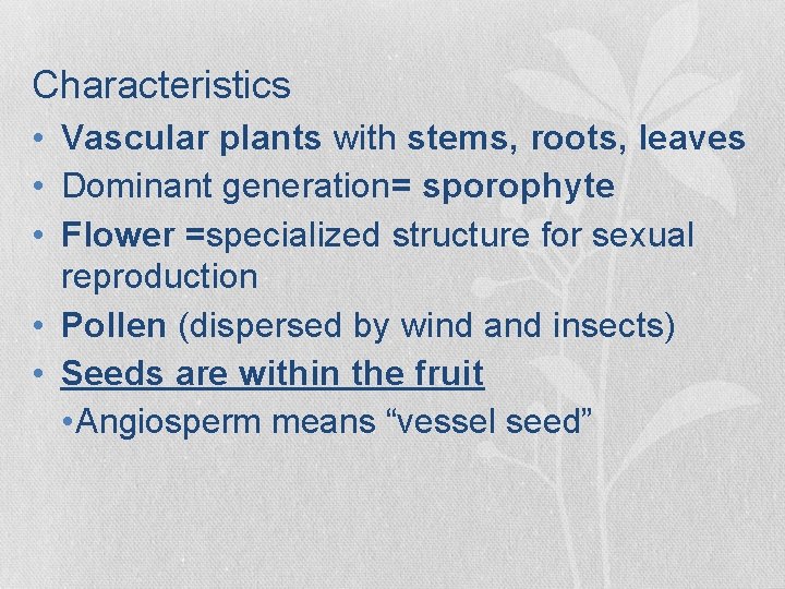 Characteristics • Vascular plants with stems, roots, leaves • Dominant generation= sporophyte • Flower Characteristics • Vascular plants with stems, roots, leaves • Dominant generation= sporophyte • Flower