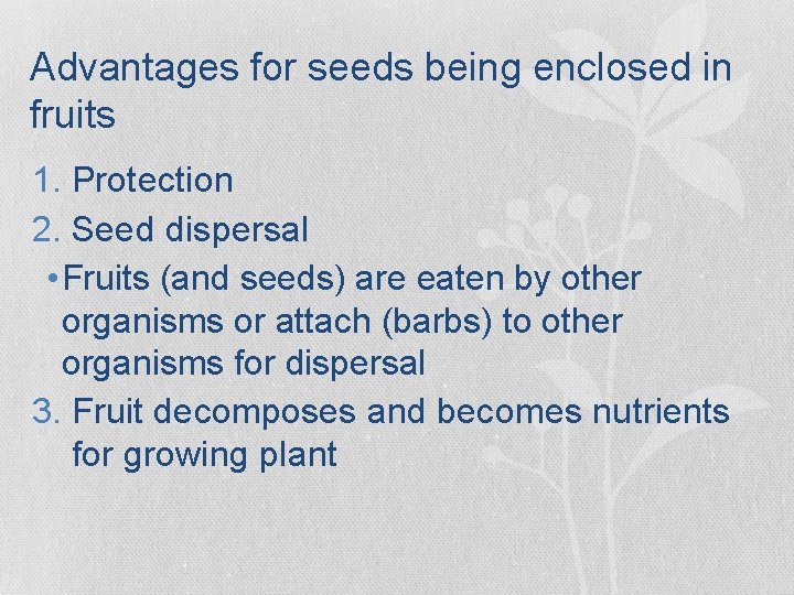 Advantages for seeds being enclosed in fruits 1. Protection 2. Seed dispersal • Fruits Advantages for seeds being enclosed in fruits 1. Protection 2. Seed dispersal • Fruits