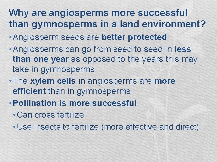 Why are angiosperms more successful than gymnosperms in a land environment? • Angiosperm seeds Why are angiosperms more successful than gymnosperms in a land environment? • Angiosperm seeds