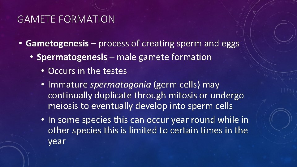 GAMETE FORMATION • Gametogenesis – process of creating sperm and eggs • Spermatogenesis –