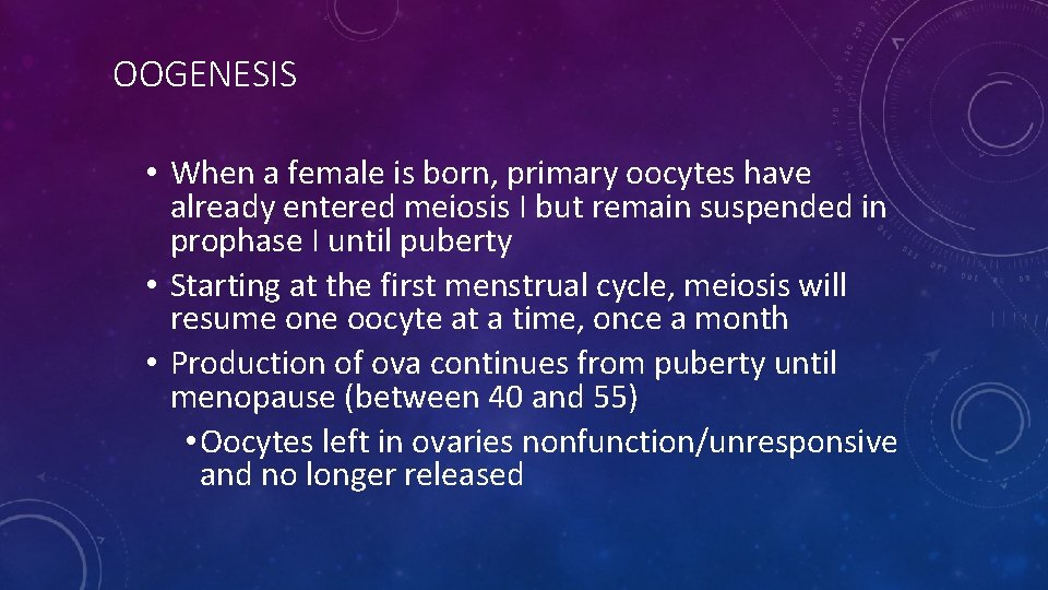 OOGENESIS • When a female is born, primary oocytes have already entered meiosis I