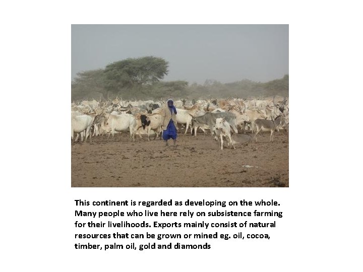 This continent is regarded as developing on the whole. Many people who live here