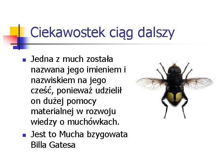 Ciekawostek ciąg dalszy n n Jedna z much została nazwana jego imieniem i nazwiskiem