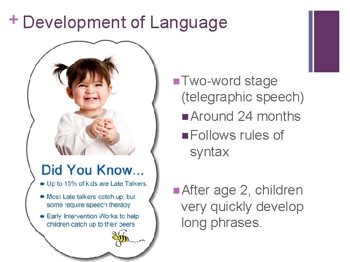 + Development of Language n Two-word stage (telegraphic speech) n Around 24 months n