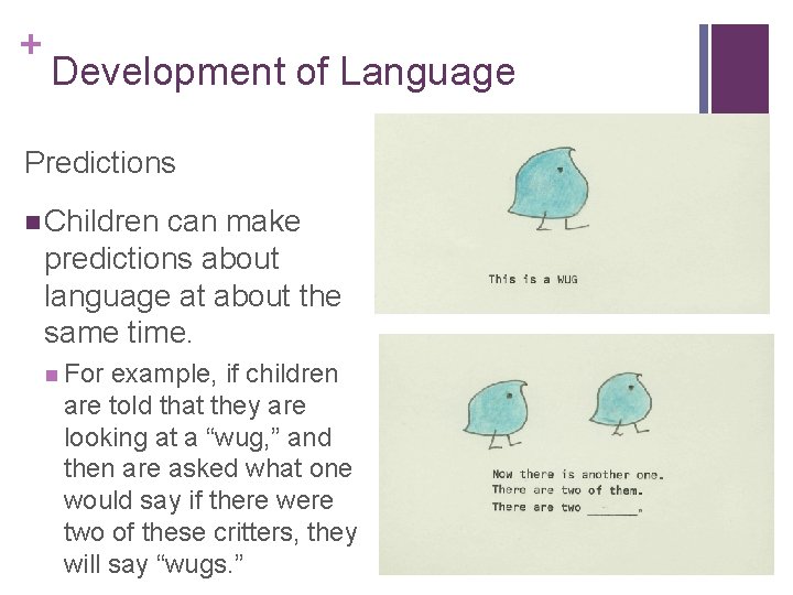 + Development of Language Predictions n Children can make predictions about language at about + Development of Language Predictions n Children can make predictions about language at about