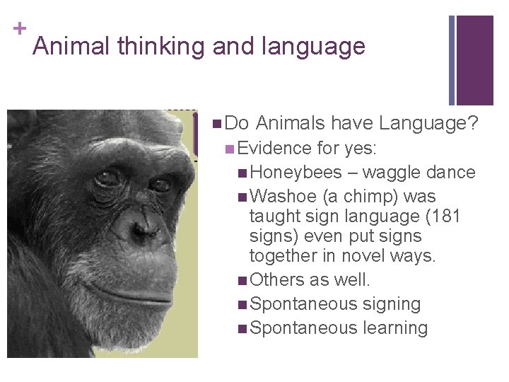 + Animal thinking and language n Do Animals have Language? n Evidence for yes: