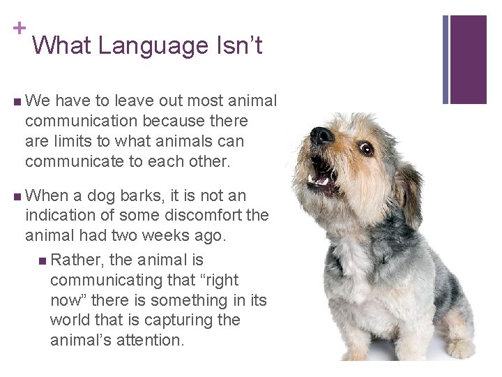 + What Language Isn’t n We have to leave out most animal communication because + What Language Isn’t n We have to leave out most animal communication because