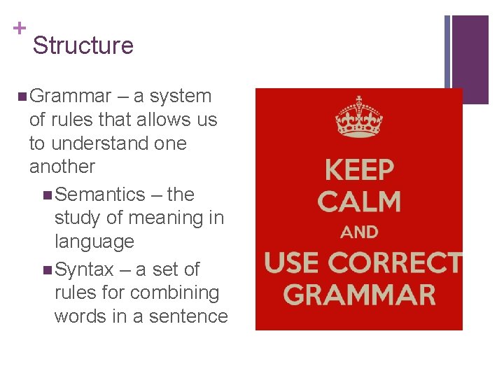 + Structure n Grammar – a system of rules that allows us to understand + Structure n Grammar – a system of rules that allows us to understand