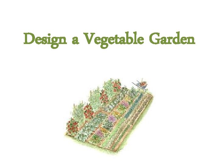 Design a Vegetable Garden 