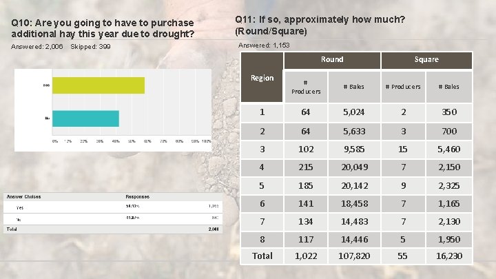 Q 10: Are you going to have to purchase additional hay this year due