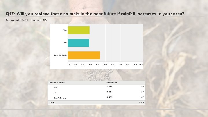 Q 17: Will you replace these animals in the near future if rainfall increases