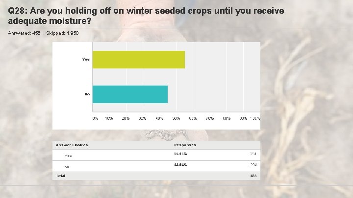 Q 28: Are you holding off on winter seeded crops until you receive adequate