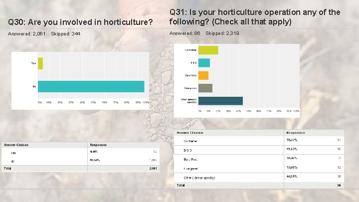 Q 30: Are you involved in horticulture? Q 31: Is your horticulture operation any