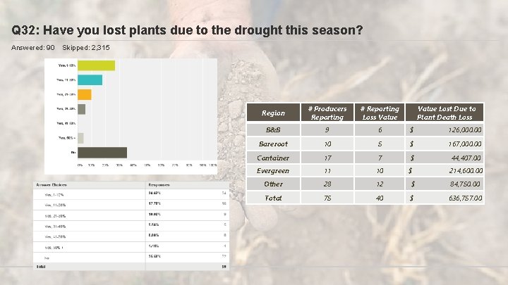 Q 32: Have you lost plants due to the drought this season? Answered: 90