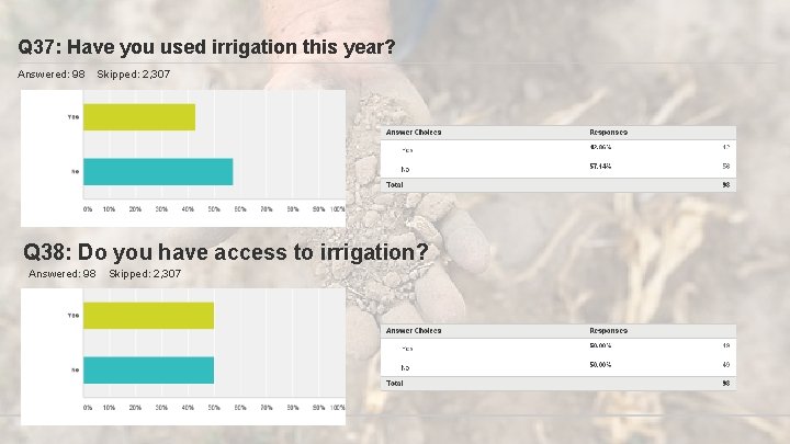 Q 37: Have you used irrigation this year? Answered: 98 Skipped: 2, 307 Q