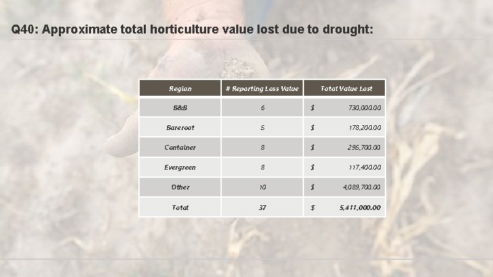 Q 40: Approximate total horticulture value lost due to drought: Region # Reporting Loss