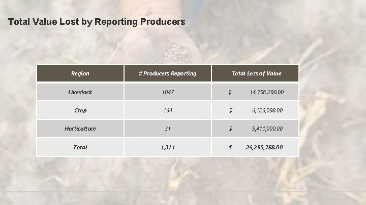 Total Value Lost by Reporting Producers Region # Producers Reporting Total Loss of Value