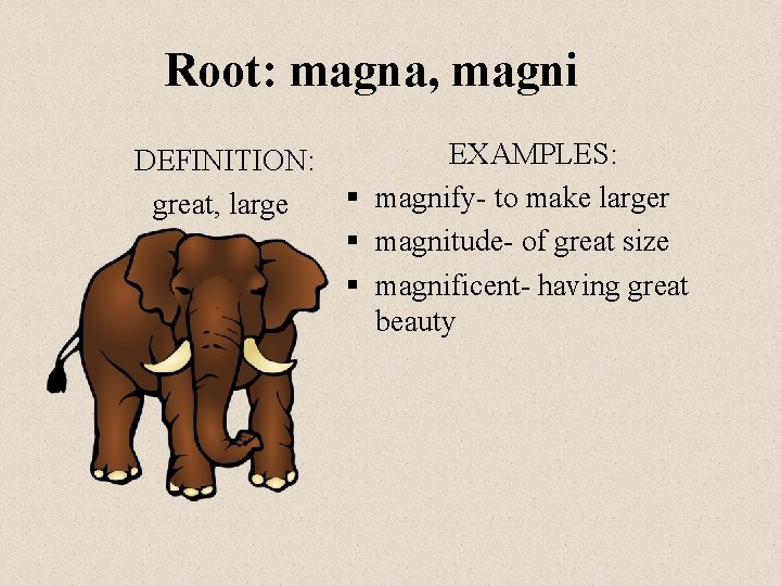 Root: magna, magni DEFINITION: great, large EXAMPLES: § magnify- to make larger § magnitude-