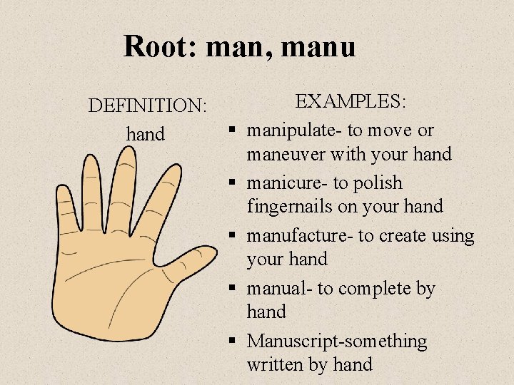 Root: man, manu DEFINITION: hand § § § EXAMPLES: manipulate- to move or maneuver