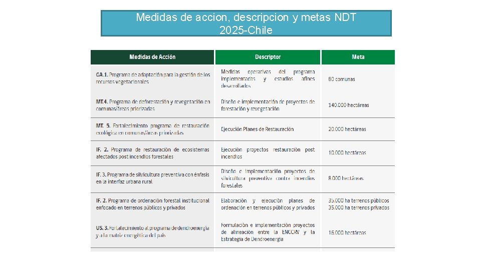 Medidas de accion, descripcion y metas NDT 2025 -Chile 
