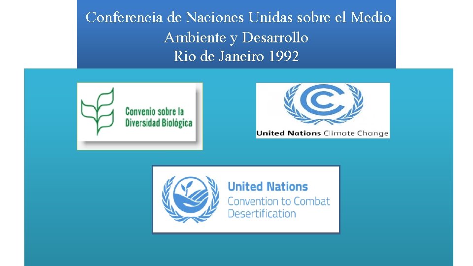 Conferencia de Naciones Unidas sobre el Medio Ambiente y Desarrollo Rio de Janeiro 1992
