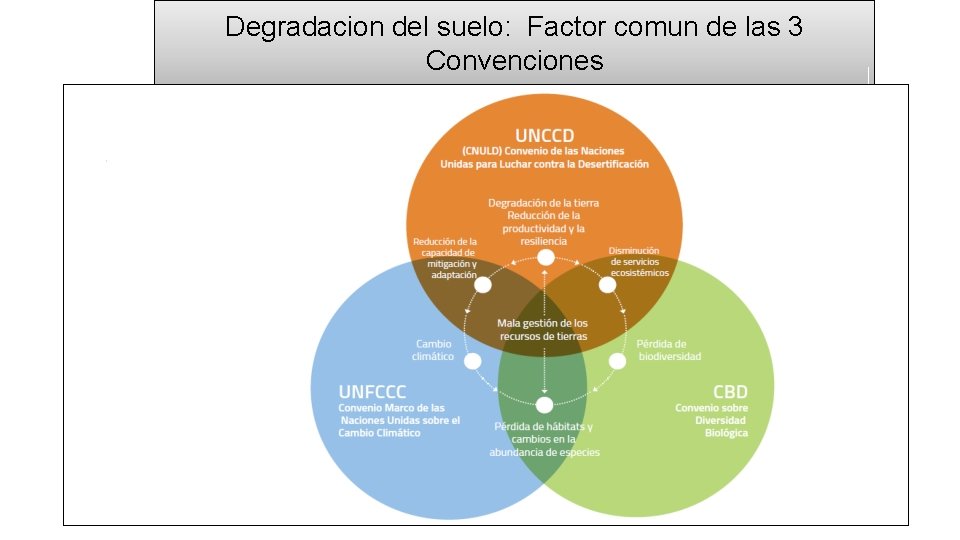 Degradacion del suelo: Factor comun de las 3 Convenciones 