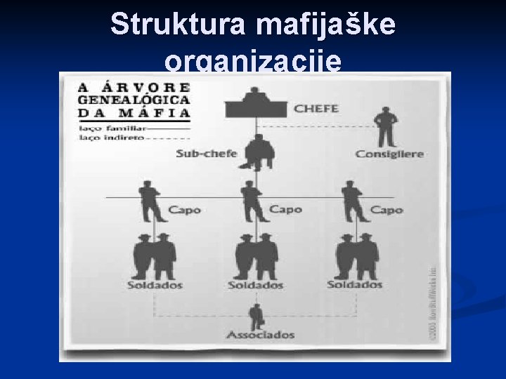 Struktura mafijaške organizacije 