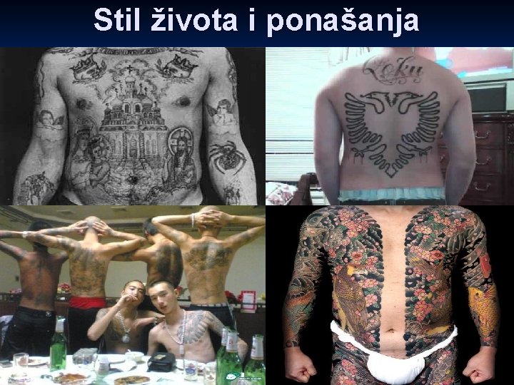 Stil života i ponašanja 