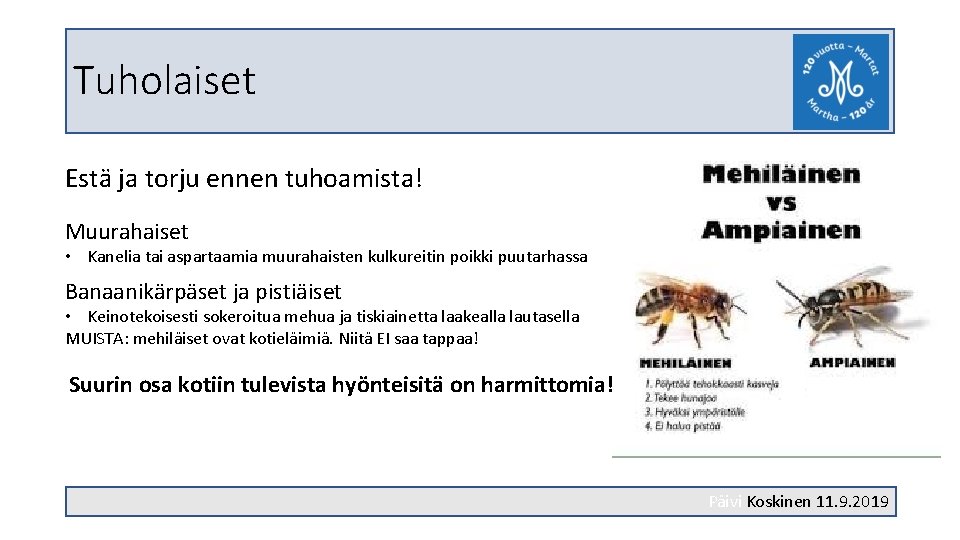 Tuholaiset Estä ja torju ennen tuhoamista! Muurahaiset • Kanelia tai aspartaamia muurahaisten kulkureitin poikki