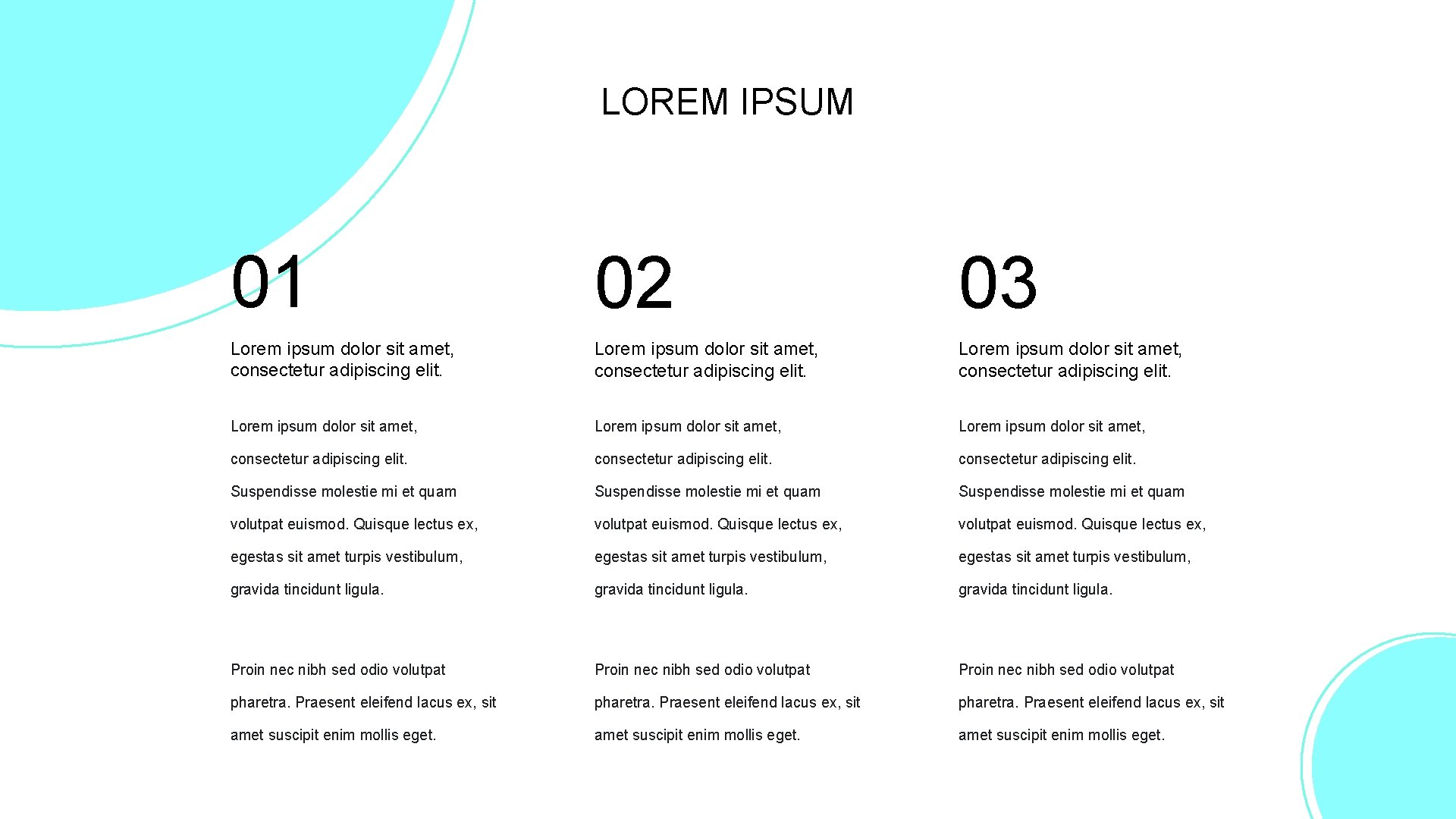 LOREM IPSUM 01 02 03 Lorem ipsum dolor sit amet, consectetur adipiscing elit. Lorem