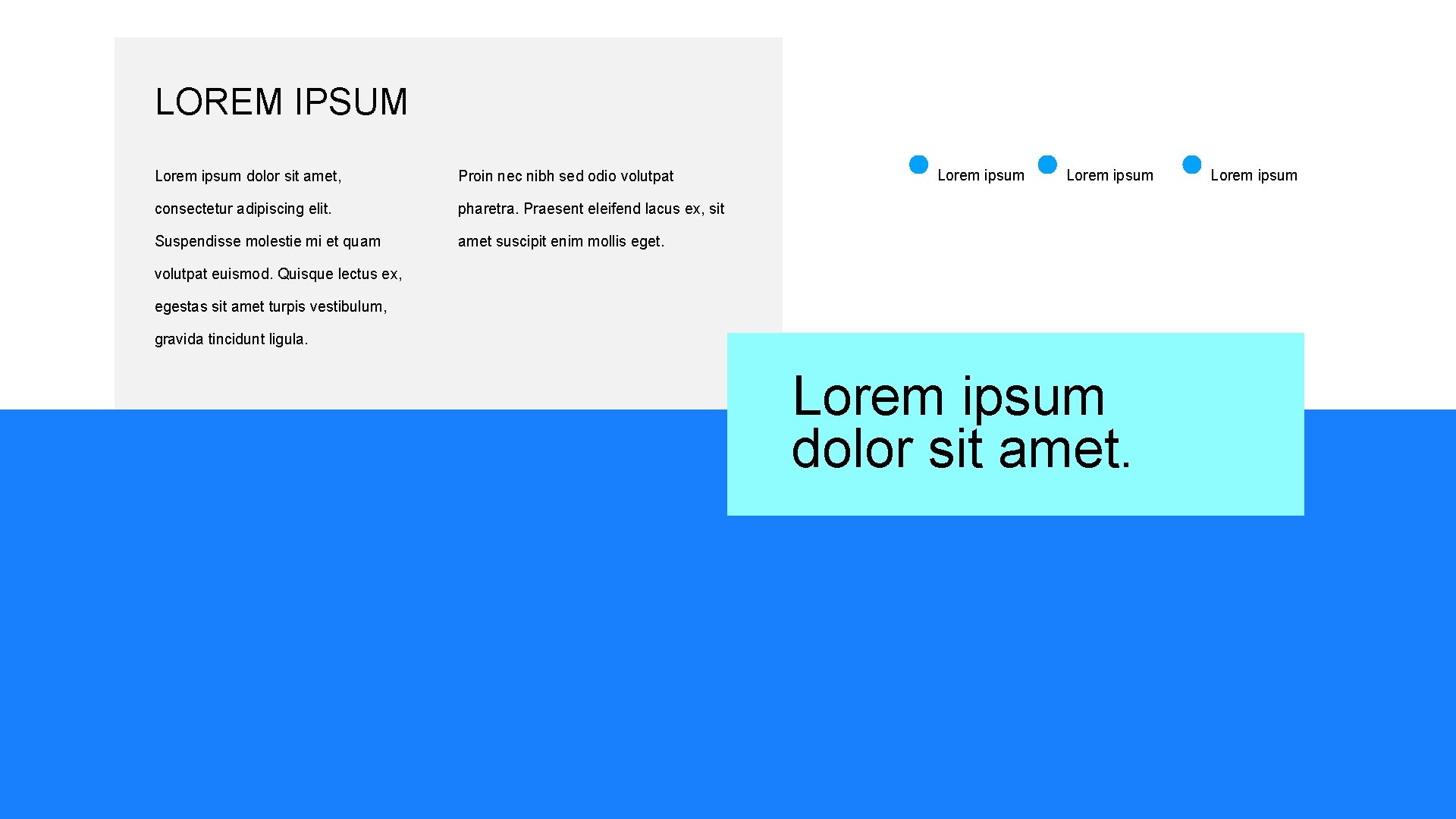 LOREM IPSUM Lorem ipsum dolor sit amet, Proin nec nibh sed odio volutpat consectetur