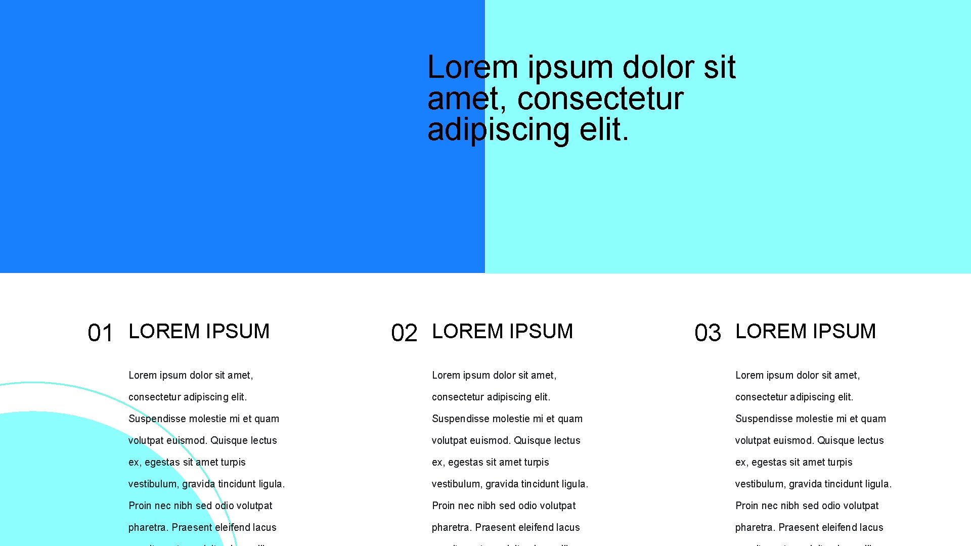 Lorem ipsum dolor sit amet, consectetur adipiscing elit. 01 LOREM IPSUM 02 LOREM IPSUM